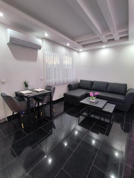 Klima Apartment Friedrichshafen Bagian luar foto