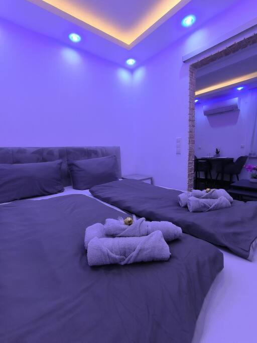Klima Apartment Friedrichshafen Bagian luar foto