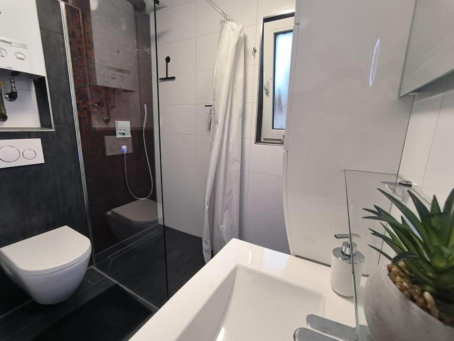 Klima Apartment Friedrichshafen Bagian luar foto