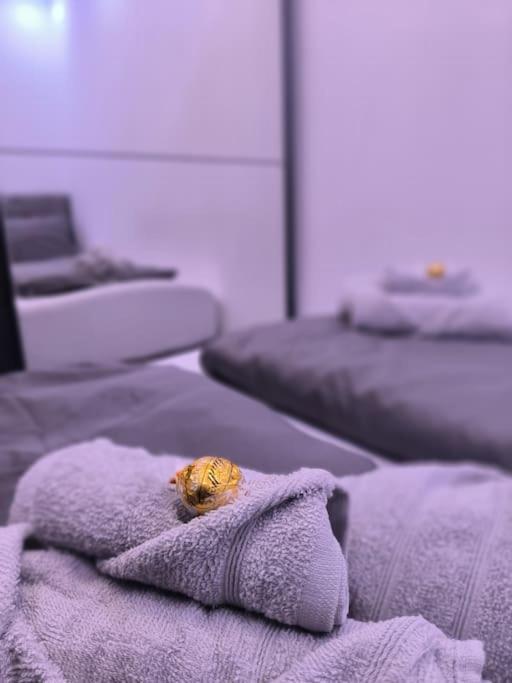 Klima Apartment Friedrichshafen Bagian luar foto