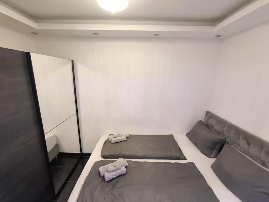 Klima Apartment Friedrichshafen Bagian luar foto