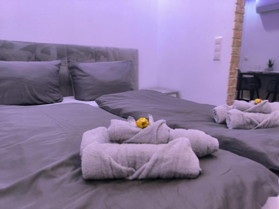 Klima Apartment Friedrichshafen Bagian luar foto