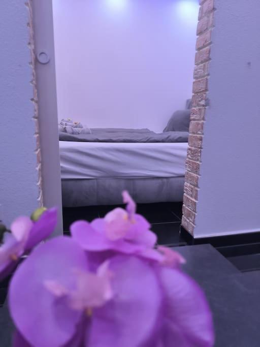 Klima Apartment Friedrichshafen Bagian luar foto
