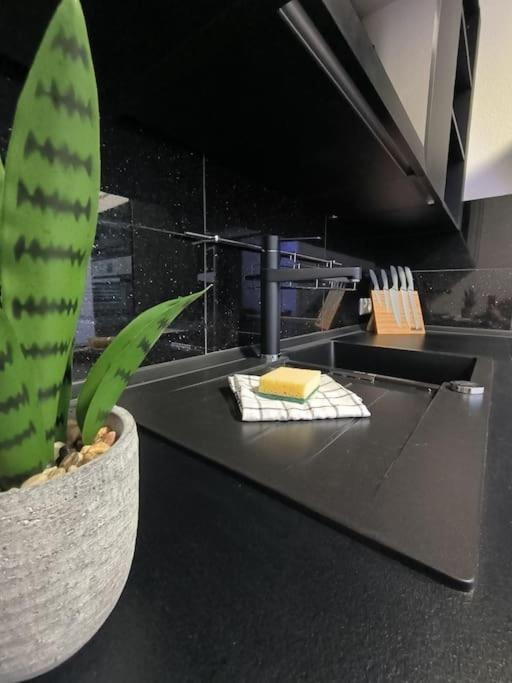 Klima Apartment Friedrichshafen Bagian luar foto